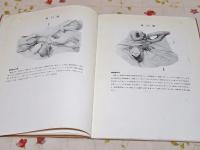睾丸摘出術