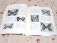 図録 世界の蝶展