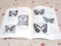 図録 世界の蝶展