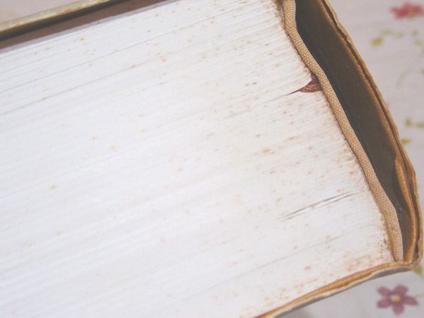 角川書道字典(伏見冲敬) / 古本、中古本、古書籍の通販は「日本