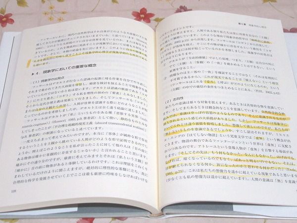 社会構成主義のプラグマティズム : 臨床心理学の新たなる基礎 書