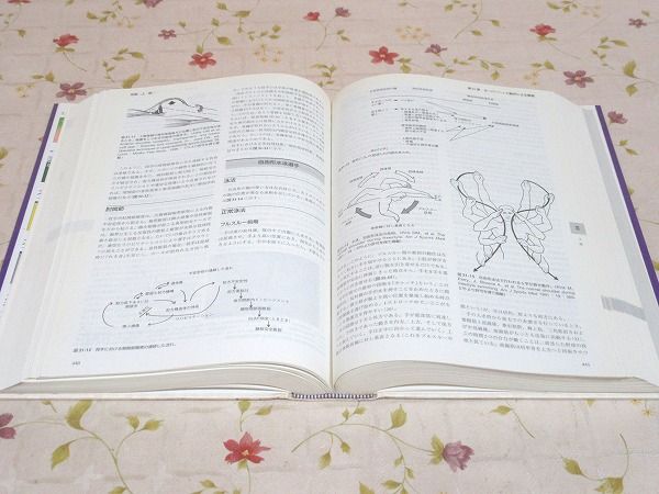 スポーツ整形外科学 : 理論と実践(W.E.ギャレット, Jr., K.P.スピーア