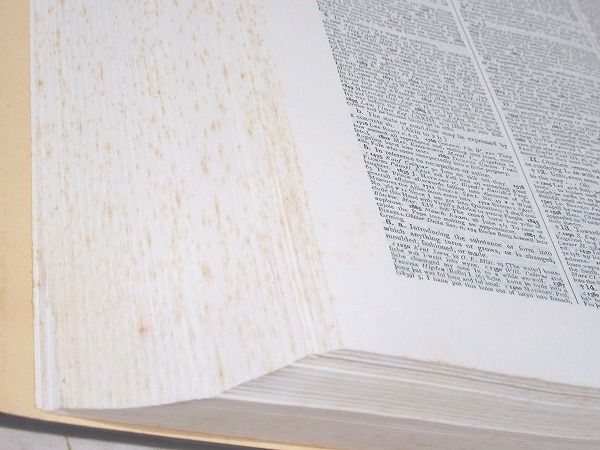The Oxford English Dictionary 全13巻揃 オックスフォード英語