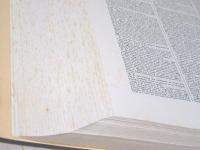 The Oxford English Dictionary 全13巻揃 オックスフォード英語辞典