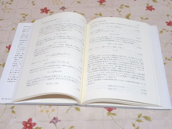 【中古】 場の量子論 ミクロ、マクロ、そして熱物理学の最前線/培風館/梅沢博臣 場の量子論 : ミクロ、マクロ、そして熱物理学の最前線(H