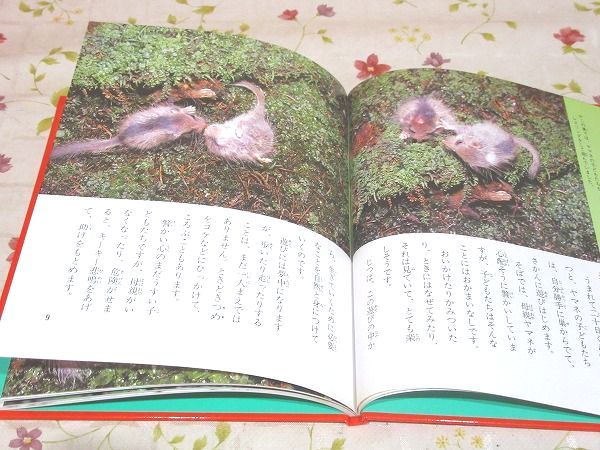 科学のアルバム　全巻１０４冊 科学のアルバム 全巻104冊 科学のアルバム 全100巻 あかね書房