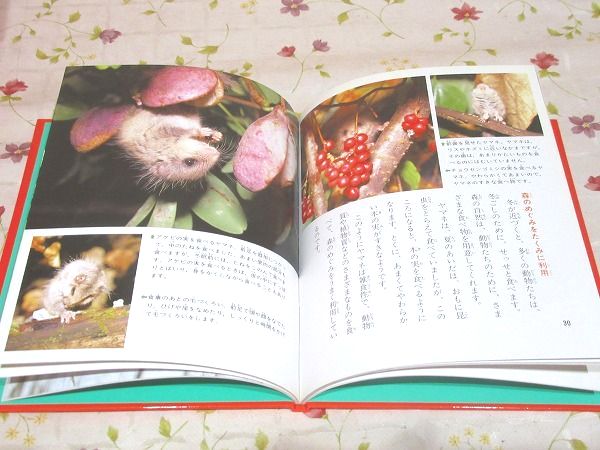 科学のアルバム 全100巻＋別巻4 計104冊揃 / 古本、中古本、古書籍の