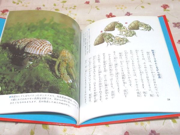 科学のアルバム 全100巻＋別巻4 計104冊揃 / 古本、中古本、古書籍の