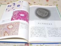 ウイルスの今日的意味