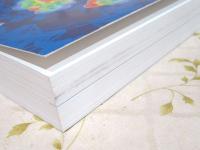 マクマリー 有機化学 : 生体反応へのアプローチ(マクマリー 著