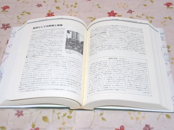 【中古本】インド文化事典 インド文化事典(インド文化事典編集委員会 編) / 古本、中古本