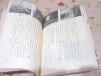 インド・イスラーム王朝の物語とその建築物 デリー・スルターン朝から
ムガル帝国までの500年の歴史をたどる