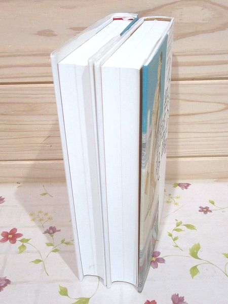 インドの細密画を訪ねて 上下セット(浅原昌明) / 古本、中古本