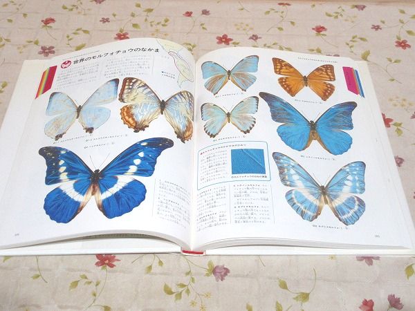 オルビス学習科学図鑑 オルビス学習科学図鑑 動物 図鑑 大人も学べる - メルカリ