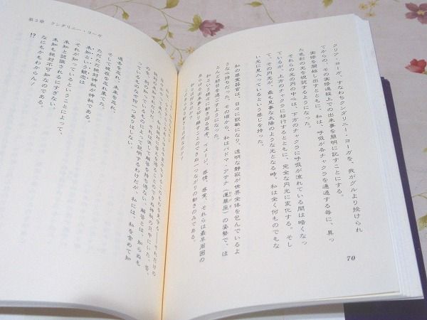 ニルヴァーナのプロセスとテクニック(ダンテス・ダイジ 著) / 古本