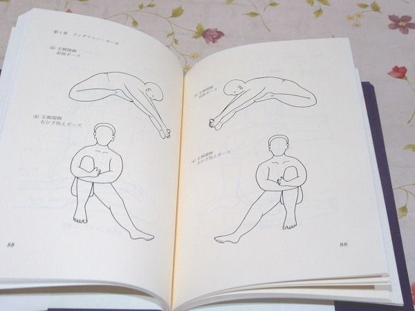 ニルヴァーナのプロセスとテクニック ニルヴァーナのプロセスとテクニック(ダンテス・ダイジ 著) / 古本