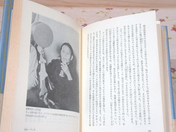 虹の階梯 : チベット密教の瞑想修行(ラマ・ケツン・サンポ, 中沢 虹の階梯 : チベット密教の瞑想修行(ラマ・ケツン・サンポ, 中沢