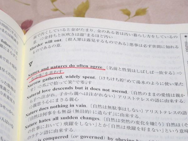 三省堂故事ことわざ 慣用句辞典 第2版 三省堂編修所 編 雨と夢の本屋 古本 中古本 古書籍の通販は 日本の古本屋 日本の古本屋