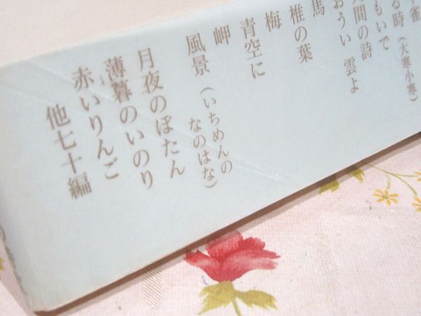 山村暮鳥詩集 : おうい雲よ(山村暮鳥 著 ; 北川幸比古 責任編集