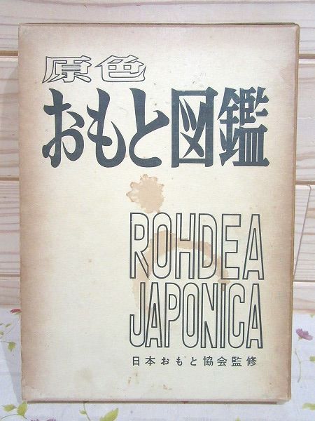 奥谷 守松 原色おもと図鑑〈続〉 (1971年)