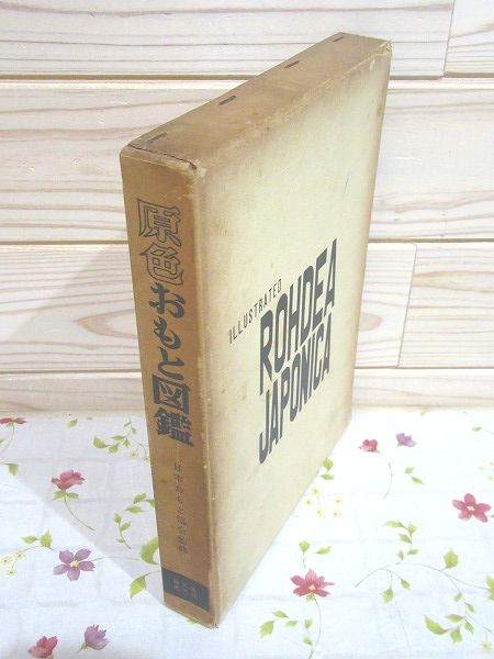 奥谷 守松 原色おもと図鑑〈続〉 (1971年)