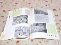 公園施設 1959年 横浜市