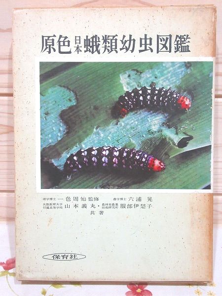 原色日本蛾類幼虫図鑑 六浦晃 山本義丸 服部伊楚子 共著 雨と夢の本屋 古本 中古本 古書籍の通販は 日本の古本屋 日本の古本屋