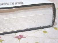 洋書 Ginsberg : a biography