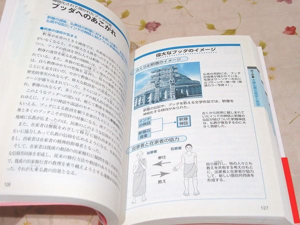 図解雑学 仏教 | 廣澤隆之 著 | ナツメ社 | ¥1,000 - 日本の古本屋