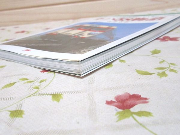 キハ58物語 : 津々浦々くまなく走ったディーゼル急行1900両(石井
