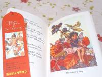 洋書 Flower Fairies of the Autumn