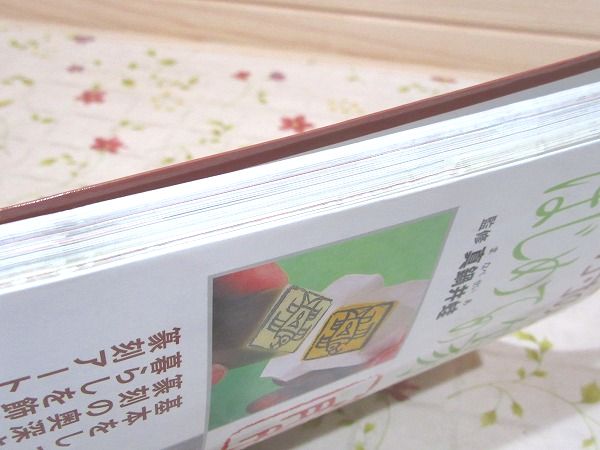 はじめての篆刻入門 方寸の世界に遊ぶ(真鍋井蛙 監修) / 古本