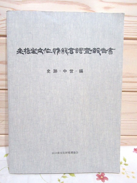 中学校国語科教育実践講座 全16巻＋ガイドブック＋VHSビデオ2本