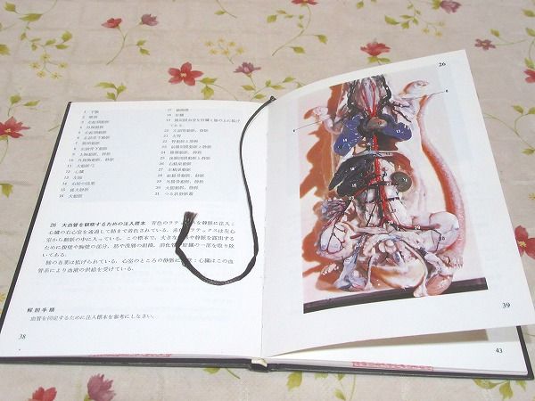 カラーアトラス 人体 第4版: 解剖と機能 | 横地 千仭 |本 | 通販 | Amazon