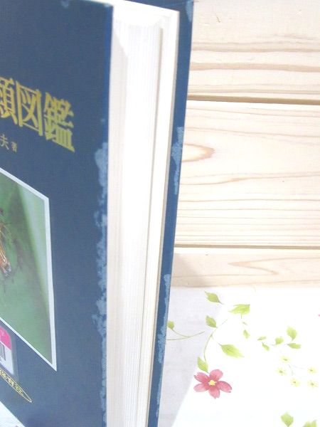 原色日本クモ類図鑑(八木沼健夫 著) / 古本、中古本、古書籍の