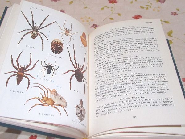 原色日本クモ類図鑑(八木沼健夫 著) / 古本、中古本、古書籍の