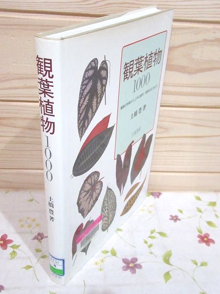 除籍本 観葉植物1000 種類の特徴から上手な栽培 管理の仕方まで 土橋豊 著 古本 中古本 古書籍の通販は 日本の古本屋 日本の古本屋