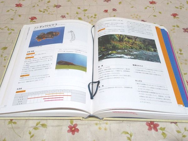 【中古本】川の生物図典 Amazon.co.jp: 超希少初版、古本 川の生物図典 植物陸生昆虫水生