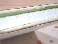除籍本 東南アジア植物性食品図鑑