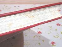 腎疾患および膀胱悪性腫瘍の血管撮影図譜