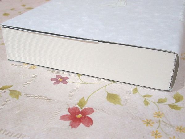 バガヴァッド・ギーター詳解 | 藤田晃 著 | 東方出版 | ¥3,300 - 日本
