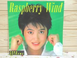 荻野目洋子 コンサート パンフレット Raspberry Wind