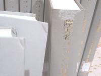 除籍本 障害者教育福祉リハビリテーション目次総覧 16冊セット