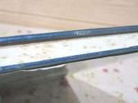 写真でみる経路正体法 経路線同調動作による異常の診かた