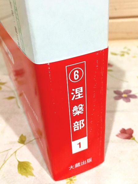 aa0/新国訳大蔵経 インド撰述部(涅槃部1）大般涅槃経（南本)Ⅰ 大蔵出版-