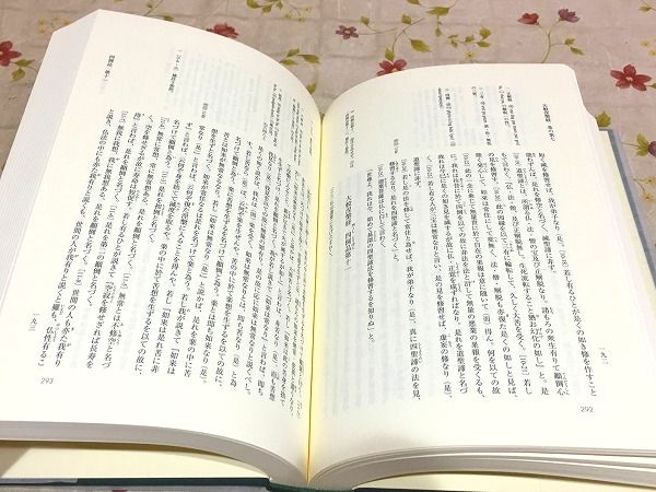 aa0/新国訳大蔵経 インド撰述部(涅槃部1）大般涅槃経（南本)Ⅰ 大蔵出版-