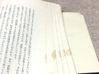 日本印象記