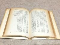 政治の密室 : 総理大臣への道