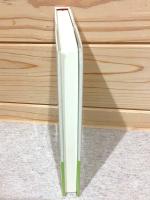 不器男句文集 松山子規叢書16