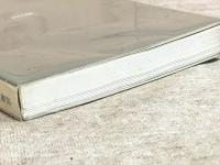 大いなる失墜  甦る悲劇の人ペタン元帥